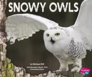 Image of Snowy owls by Melissa Hill