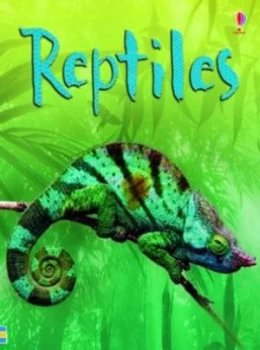 Image of Reptiles by Catriona Clarke Hardback