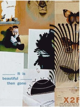 Image of It Is Beautiful-- Then Gone by Martin Venezky Hardback