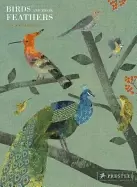 Image of birds and their feathers