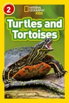 Image of Turtles and Tortoises : Level 2