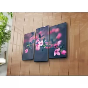 Image of 3NATPAT-24 Multicolor Decorative Canvas Painting (3 Pieces)