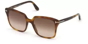 image of Tom Ford Sunglasses FT0788 FAYE-02 53F