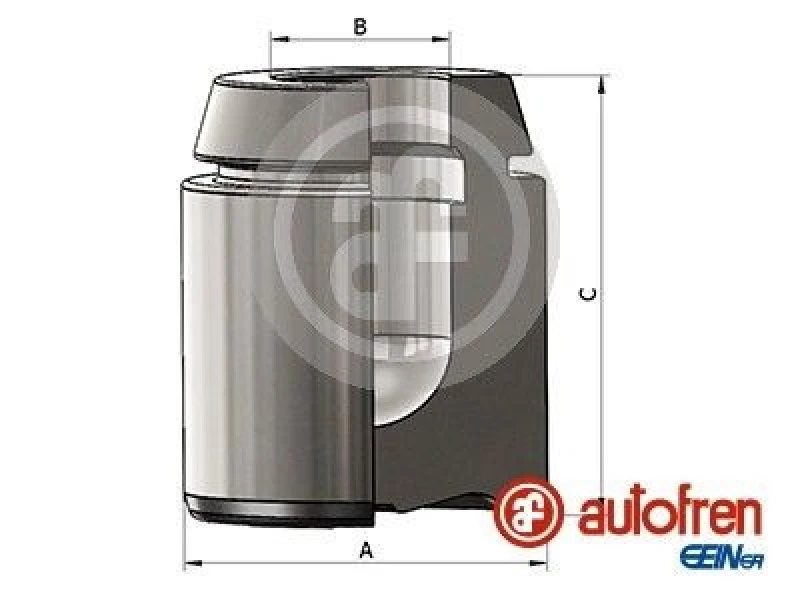 Image of AUTOFREN SEINSA Brake caliper piston AUTOFREN SEINSA D025493