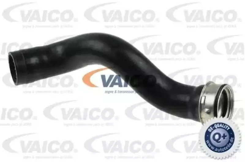 Image of Charger intake hose VAICO V10-4391