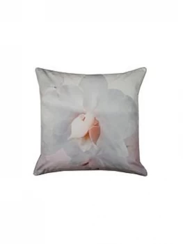 Image of Ted Baker Cotton Candy Feather Filled Cushion