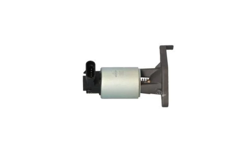 Image of NRF 48343 EGR valve EASY FIT Electric, with gaskets/seals EGR Valve (1145)