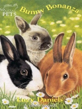 Image of Bunny Bonanza by Lucy Daniels Paperback
