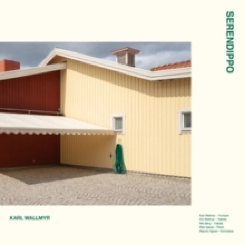 Image of Serendippo Vinyl