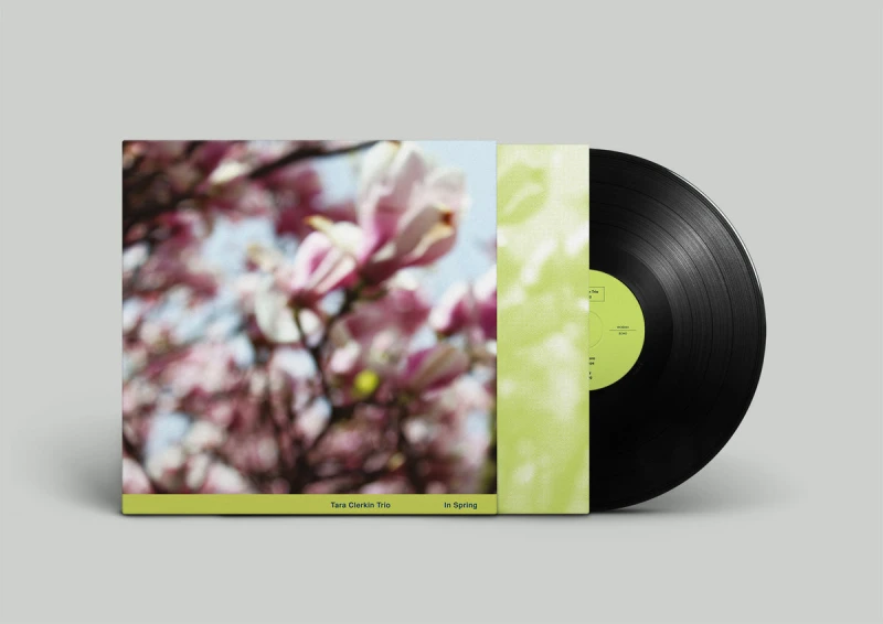 Image of In Spring Vinyl