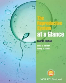 Image of The Reproductive System at a Glance by Linda J. Heffner Paperback