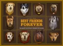 Image of Best Friends Forever: The Greatest Collection of Taxidermy Dogs on Earth
