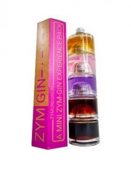 Image of Zymurgorium 5 Pack Mini Zym Stack 5X 4Cl