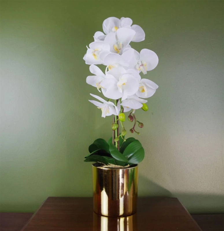 Image of Leaf Artificial Orchid Large White Gold 52cm Botanik White