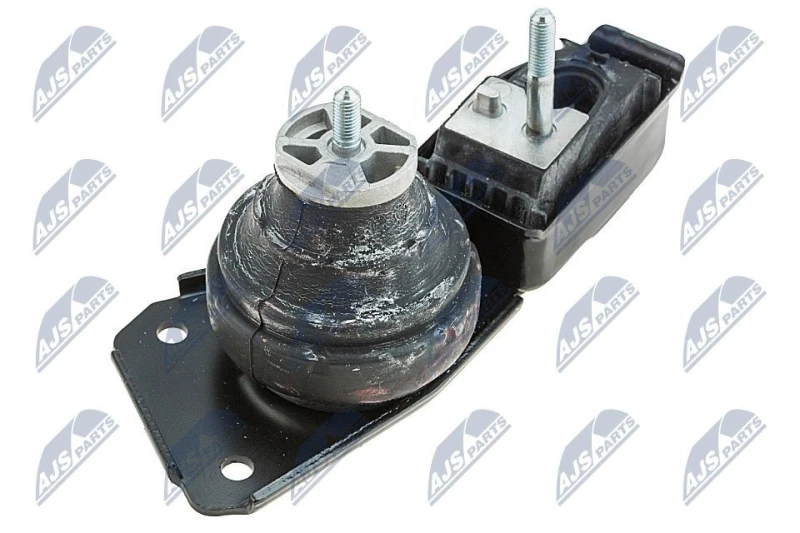 Image of NTY ZPS-WW-083 Engine mount Right Front, Hydro Mount Engine Mounting (247)