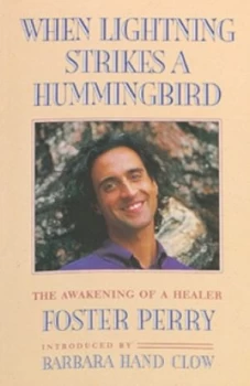 Image of When Lightning Strikes a Hummingbird by Foster Perry Book