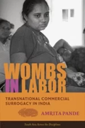 Image of wombs in labor transnational commercial surrogacy in india