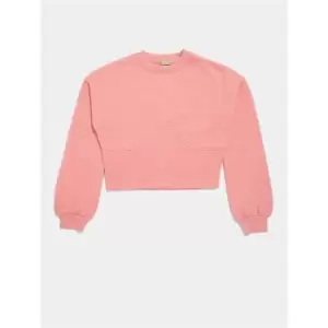 image of Skinny Dip Corset Sweatshirt - Pink