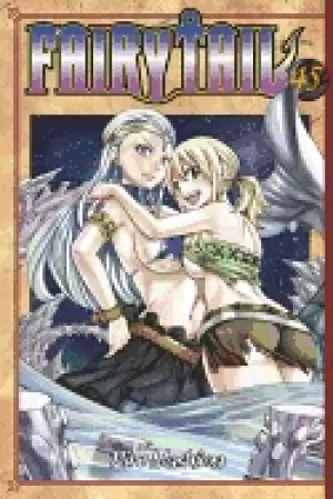 Image of fairy tail 45