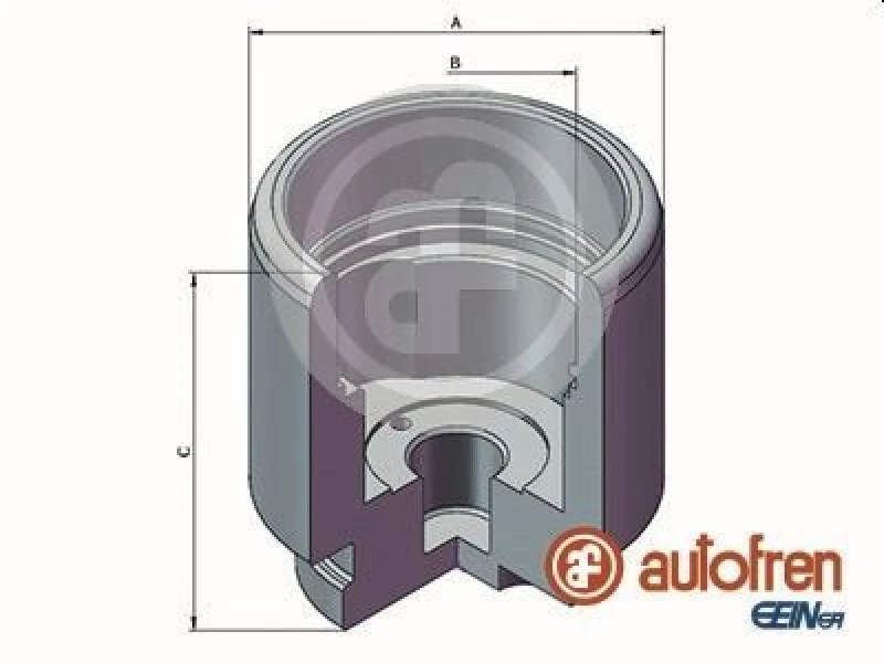 Image of AUTOFREN SEINSA Brake caliper piston AUTOFREN SEINSA D025644