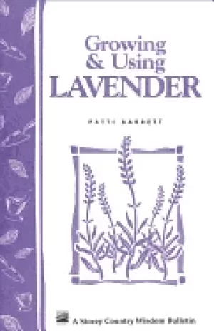 Image of growing and using lavender storeys country wisdom bulletin a 155