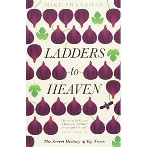 Image of Ladders to Heaven Paperback / softback 2018
