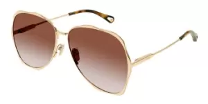 Image of Chloe Sunglasses CH0183S 003