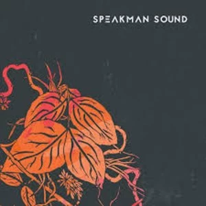 Image of Speakman Sound - Warm Vinyl