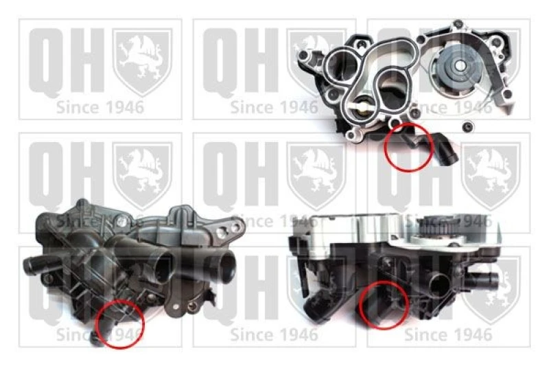 Image of QUINTON HAZELL Water pump QUINTON HAZELL QCP3863BH