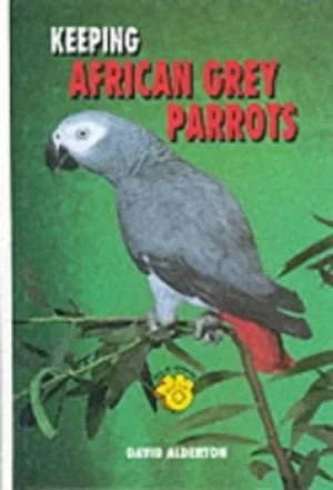 Image of Keeping African grey parrots by David Alderton