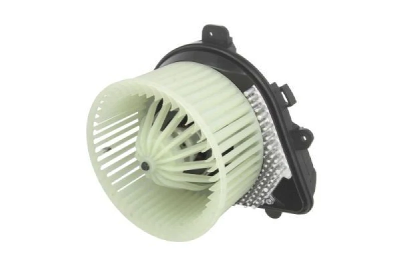Image of THERMOTEC Blower motor THERMOTEC DDP008TT
