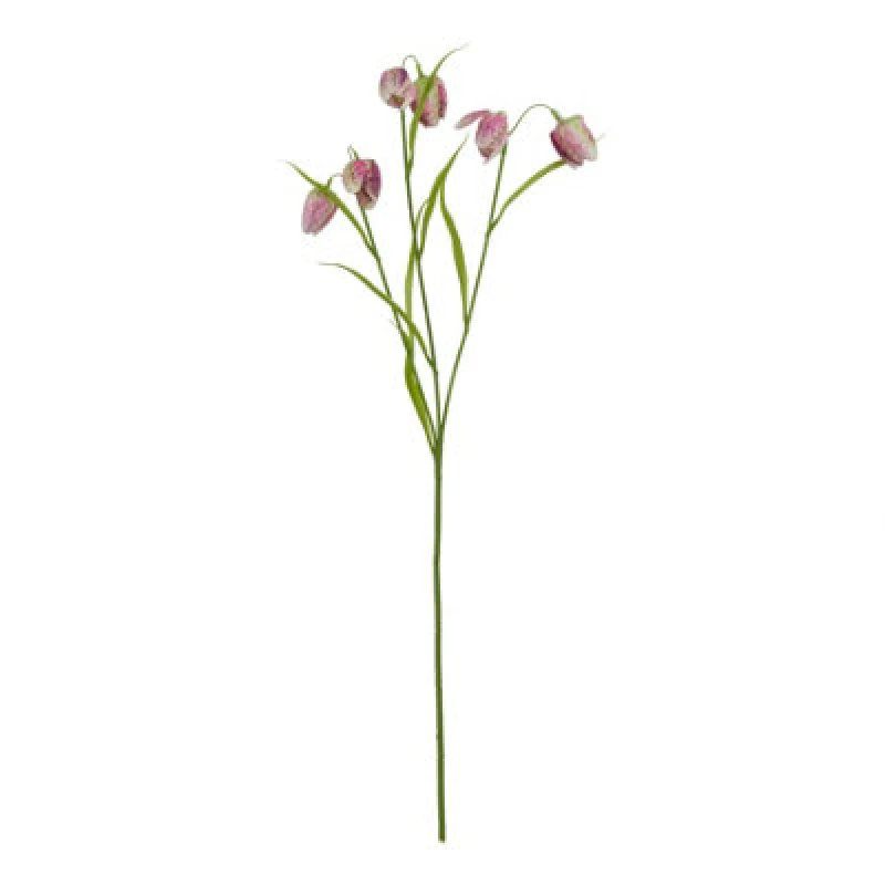 Image of The Natural Garden Collection Purple Fritillaria Stem