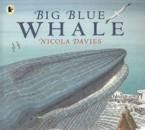 Image of Big Blue Whale by Nicola Davies and Nick Maland Paperback