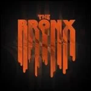 Image of bronx vi