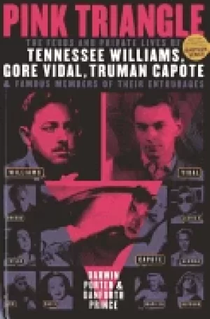 Image of pink triangle the feuds and private lives of tennessee williams gore vidal