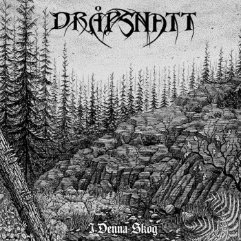 Image of Dr&aring;psnatt - I Denna Skog Grey Vinyl