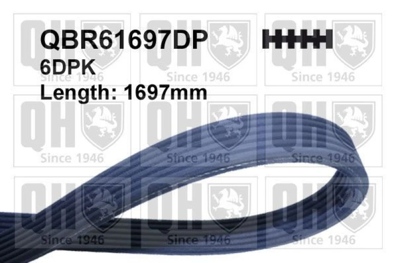 Image of QUINTON HAZELL Serpentine belt QUINTON HAZELL QBR61697DP