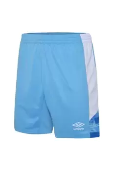 Image of Mens Vier Shorts