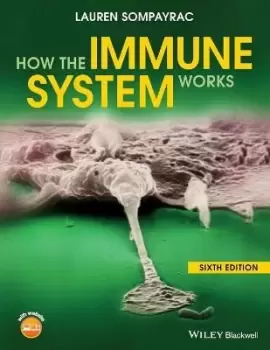 Image of How the Immune System Works by Lauren M. Sompayrac
