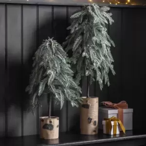 Image of Crossland Grove Frosted Pine With Birch Log Base 810mm