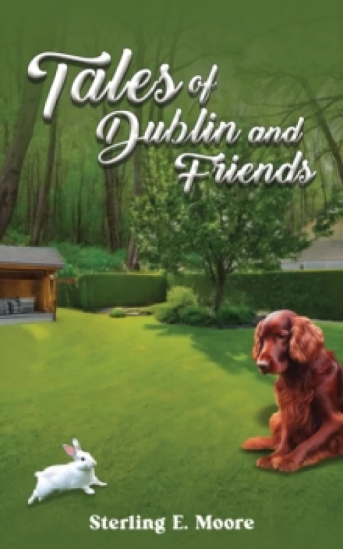 Image of Tales of Dublin and Friends. Paperback. By Sterling E Moore Books