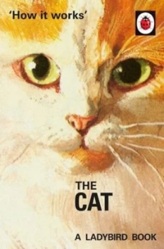 Image of The Cat by Jason Hazeley Hardback