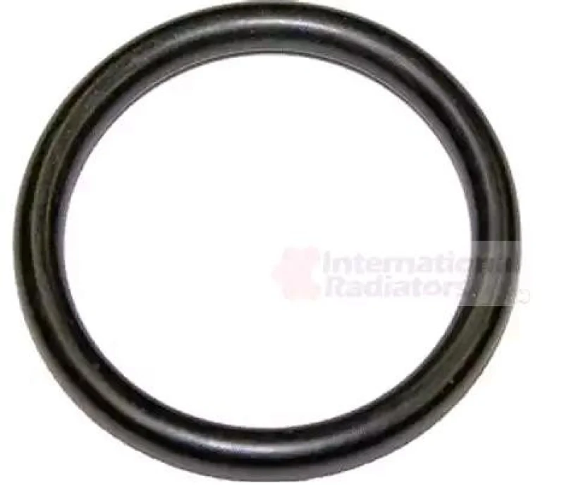Image of VAN WEZEL Seal Ring, coolant tube VAN WEZEL 99002838