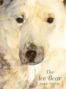 Image of The Ice Bear