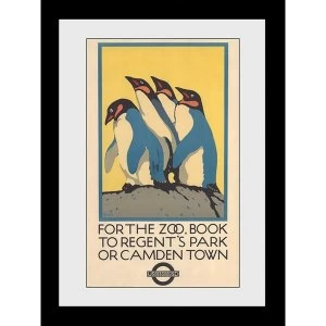 image of Transport For London Zoo 60 x 80 Framed Collector Print