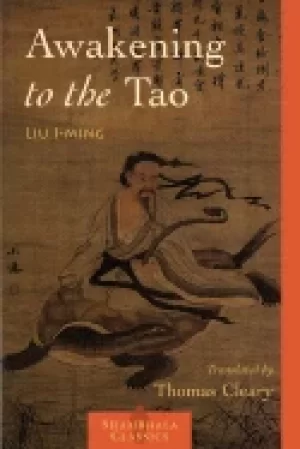 Image of awakening to the tao