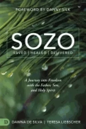 Image of sozo saved healed delivered a journey into freedom with the father son and