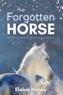 Image of The Forgotten Horse : Book 1 in the Connemara Horse Adventure Series for Kids. The perfect gift for children age 8-12.
