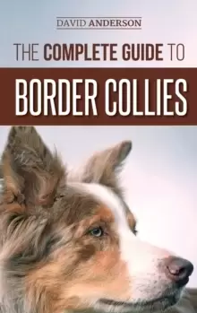 Image of The Complete Guide to Border Collies : Training, teaching, feeding, raising, and loving your new Border Collie puppy