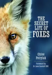 Image of The Secret Life of Foxes